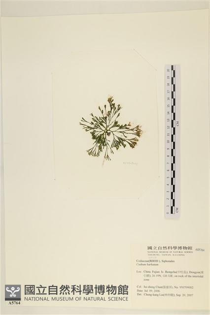 登錄號:A00005764藏品圖，第3張