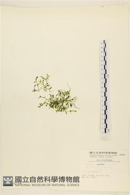 登錄號:A00000764藏品圖，第1張