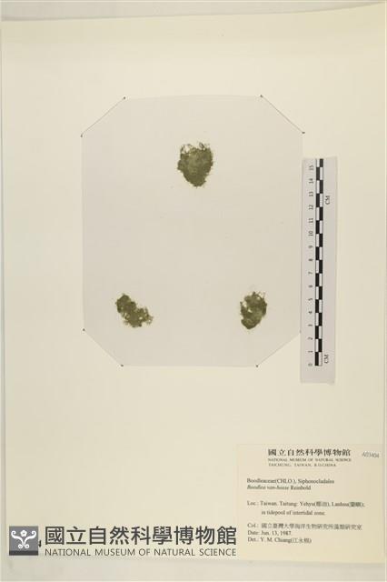 登錄號:A00003404藏品圖，第3張
