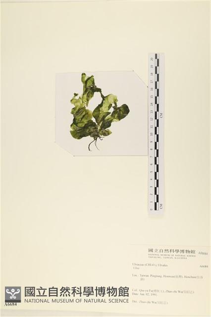 登錄號:A00006684藏品圖，第3張