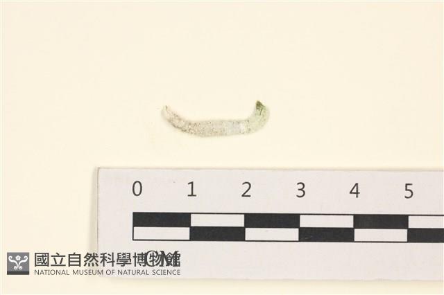 登錄號:A00001084藏品圖，第1張