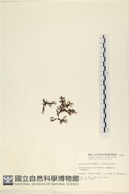 登錄號:A00000784藏品圖，第3張