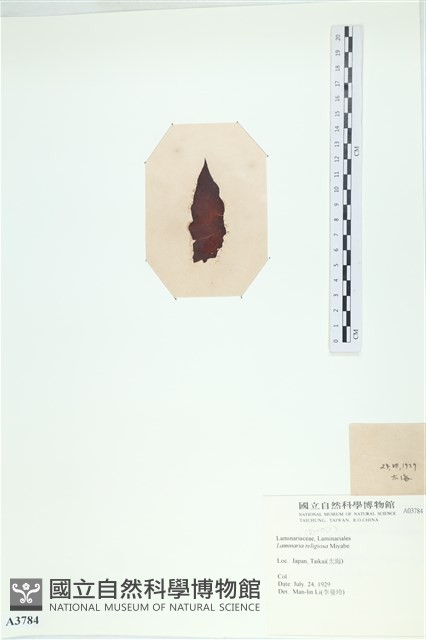登錄號:A00003784藏品圖，第3張