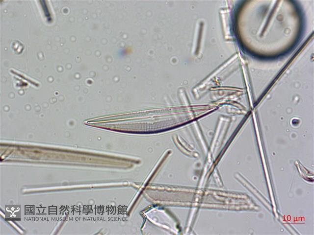 登錄號:A00004637藏品圖，第3張