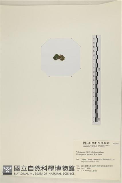 館號:A00003437藏品圖，第3張