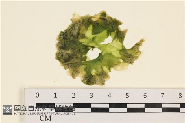 登錄號:A00002057藏品圖，第1張