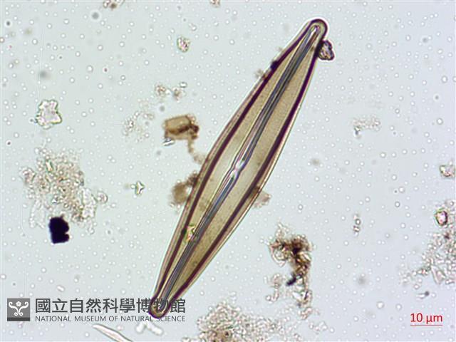 登錄號:A00004627藏品圖，第3張