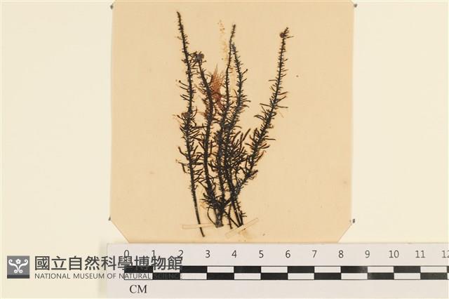 登錄號:A00004027藏品圖，第1張