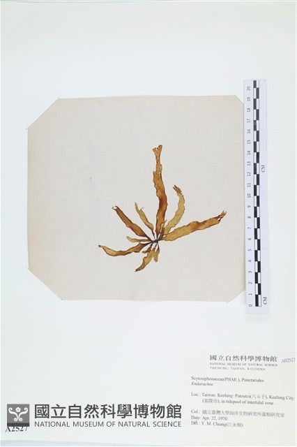 登錄號:A00002527藏品圖，第3張