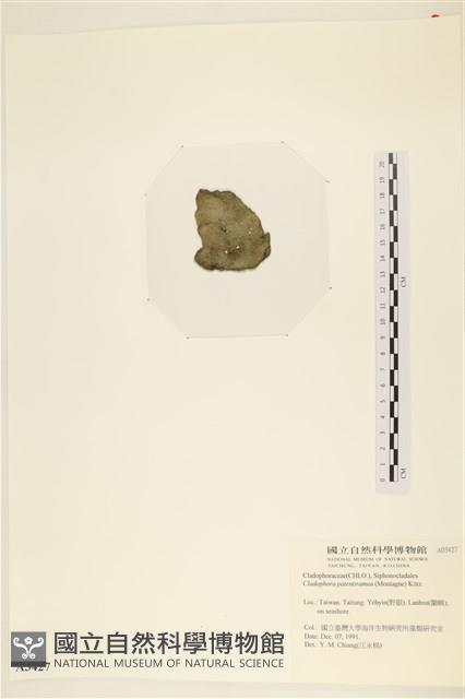 登錄號:A00003427藏品圖，第3張