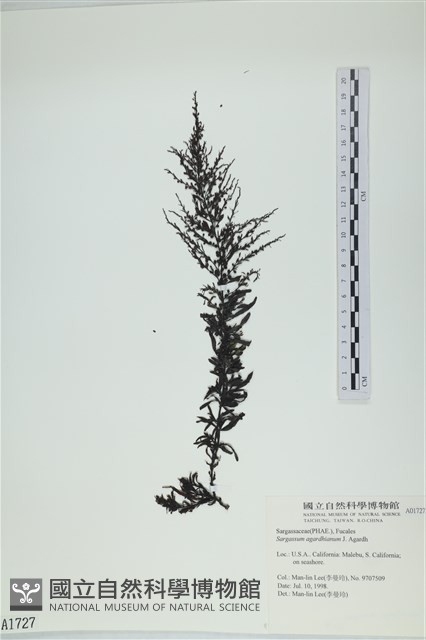 登錄號:A00001727藏品圖，第1張