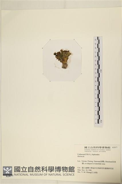 登錄號:A00002677藏品圖，第3張