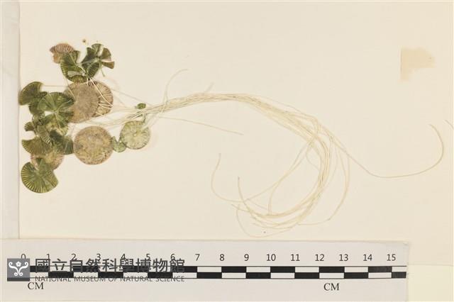 登錄號:A00005077藏品圖，第1張