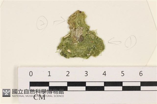 登錄號:A00003177藏品圖，第1張