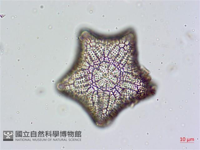 登錄號:A00004477藏品圖，第3張