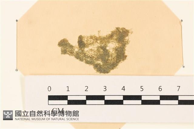 登錄號:A00003977藏品圖，第1張