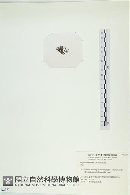 登錄號:A00002777藏品圖，第3張