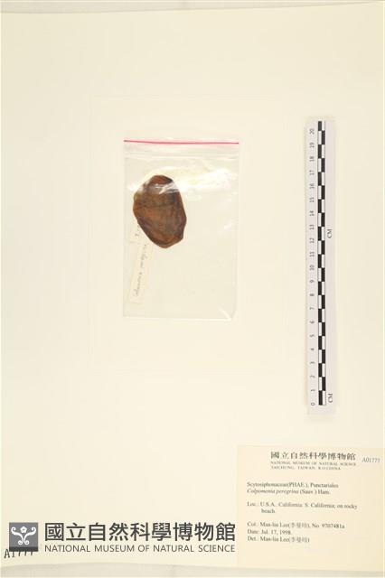 登錄號:A00001777藏品圖，第3張