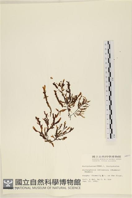 登錄號:A00000777藏品圖，第1張