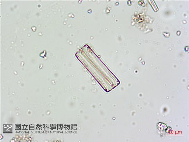 登錄號:A00004617藏品圖，第3張