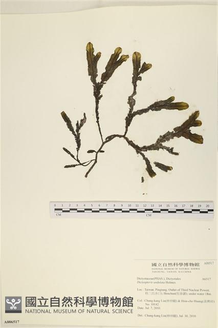 登錄號:A00006517藏品圖，第1張