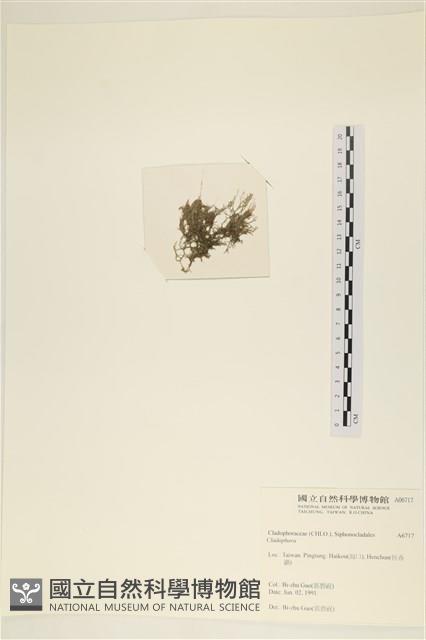 登錄號:A00006717藏品圖，第3張