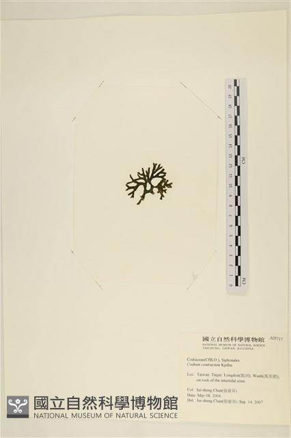 登錄號:A00005717藏品圖，第3張