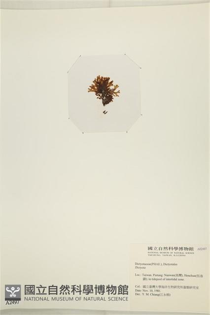 登錄號:A00002497藏品圖，第3張