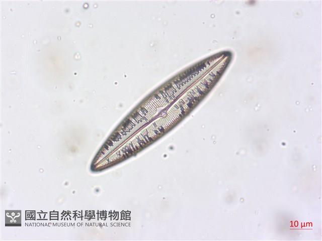 登錄號:A00004497藏品圖，第3張