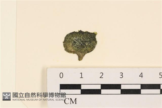 登錄號:A00004997藏品圖，第1張