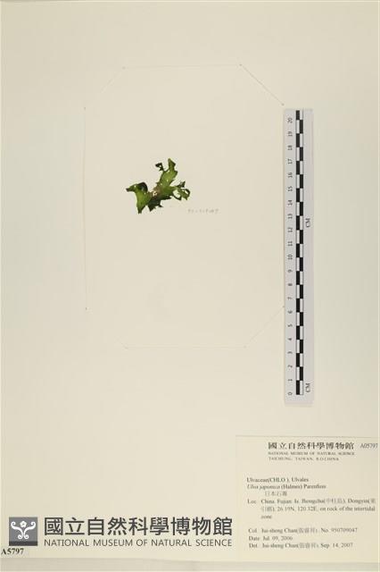 登錄號:A00005797藏品圖，第3張