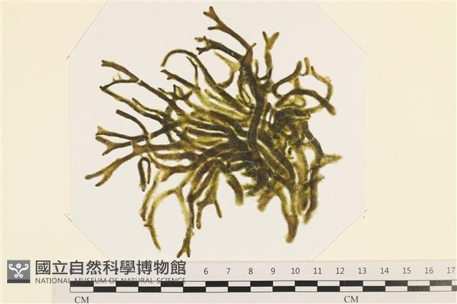 登錄號:A00005047藏品圖，第1張