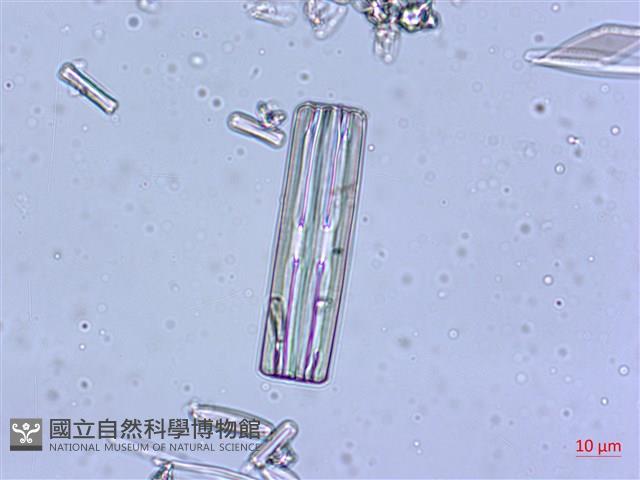 登錄號:A00004547藏品圖，第3張