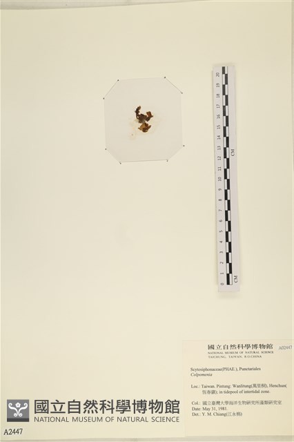登錄號:A00002447藏品圖，第3張