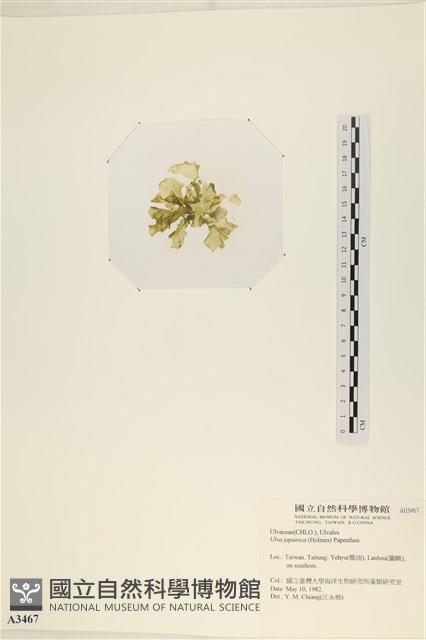 登錄號:A00003467藏品圖，第3張