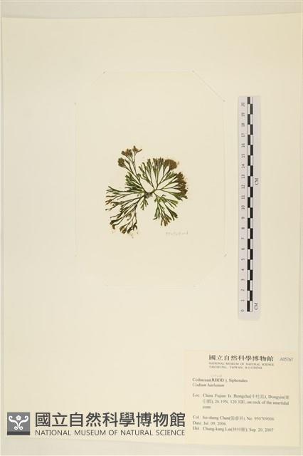 登錄號:A00005767藏品圖，第3張