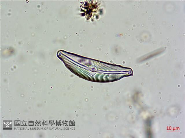 登錄號:A00004607藏品圖，第3張