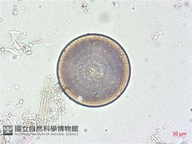 登錄號:A00004507藏品圖，第3張