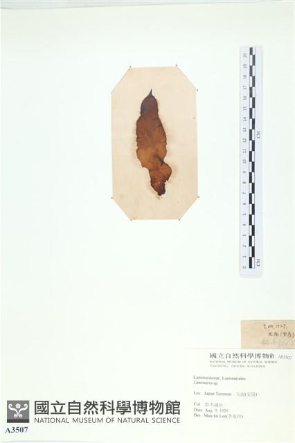 登錄號:A00003507藏品圖，第3張