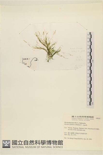 登錄號:A00006307藏品圖，第3張