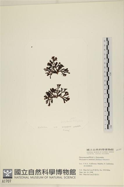 登錄號:A00001707藏品圖，第1張
