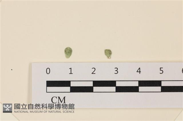 登錄號:A00005087藏品圖，第1張