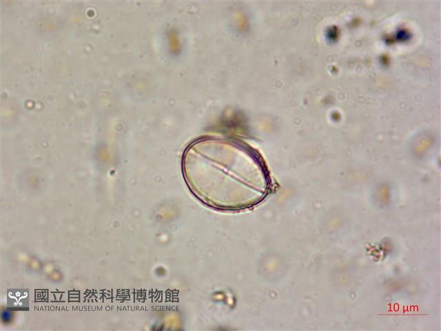 登錄號:A00004587藏品圖，第3張