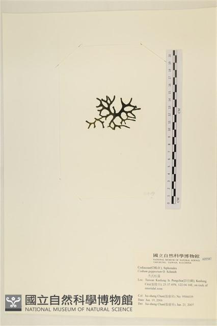 登錄號:A00005587藏品圖，第3張