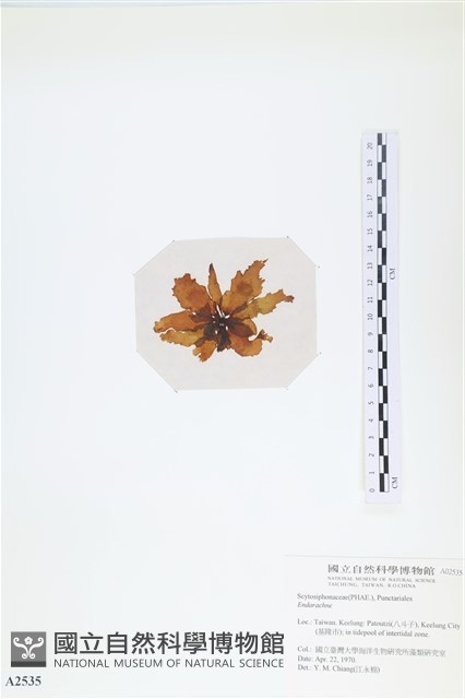 登錄號:A00002535藏品圖，第3張