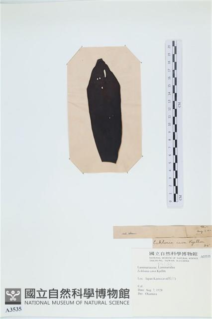 登錄號:A00003535藏品圖，第3張