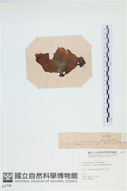 登錄號:A00003735藏品圖，第3張