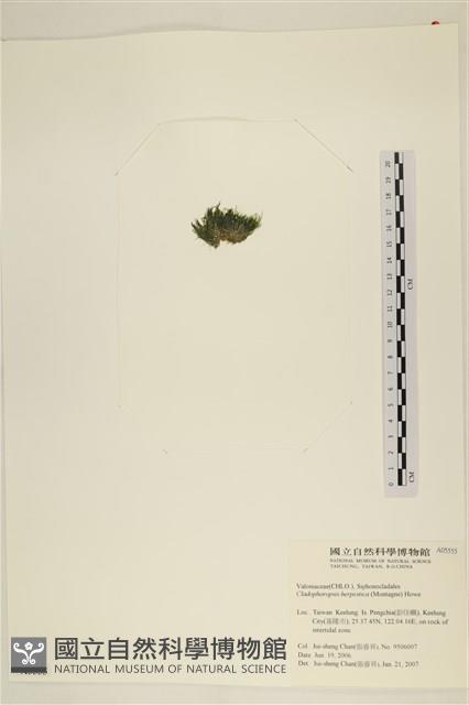 登錄號:A00005555藏品圖，第3張