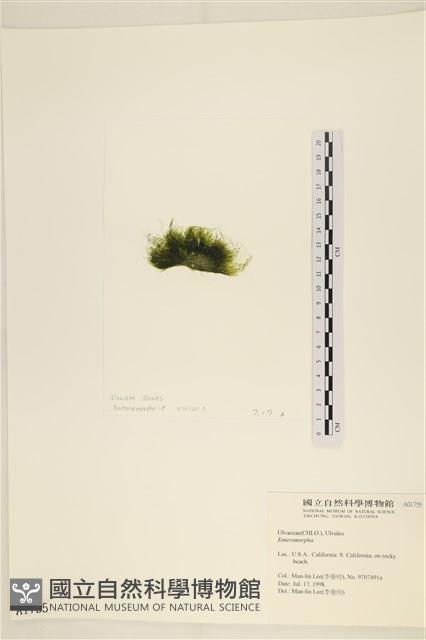 登錄號:A00001755藏品圖，第3張