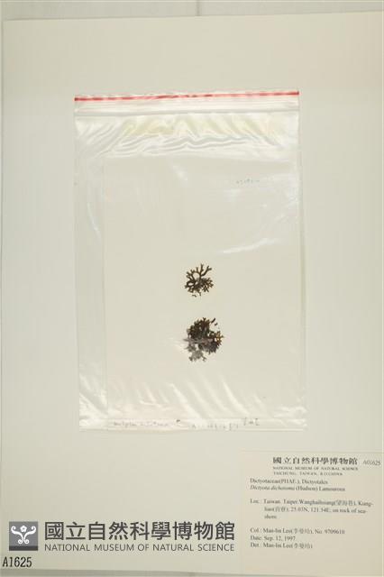 網目藻藏品圖，第3張